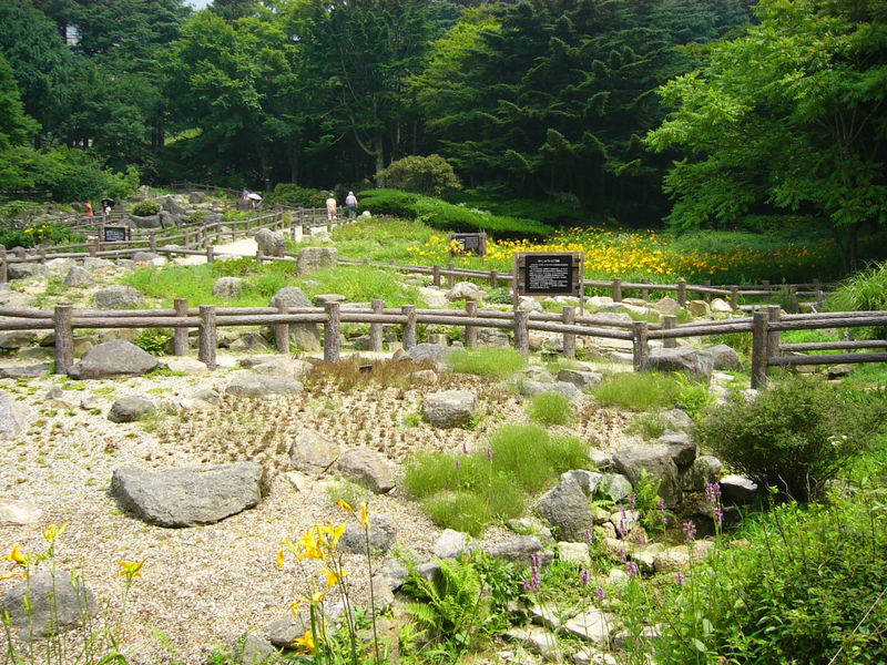 六甲高山植物園